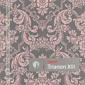 Трианон 13 (Trianon XIII)