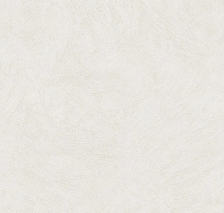 A.S. Creation Sylvana 8921-33 для кухни для спальни для гостиной для коридора для кабинета для загородного дома для комнаты для прихожей белый светло-серый