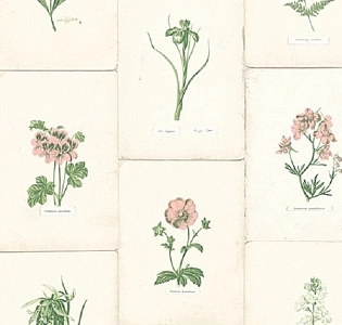 Paper Partnership University of Oxford Archives II WP0090903 для спальни для гостиной для загородного дома для комнаты бежевый