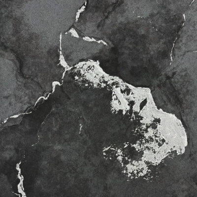 Обои виниловые на флизелиновой основе