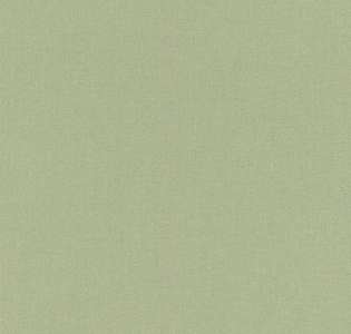 Rasch Поэзия (Poetry) 960716 для кухни для спальни для гостиной для коридора для кабинета для загородного дома для комнаты для прихожей зеленый оливковый