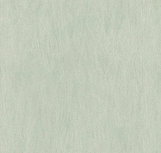 Rasch Allegretto 540840 для кухни для спальни для гостиной для коридора для кабинета для загородного дома для комнаты для прихожей зеленый мятный