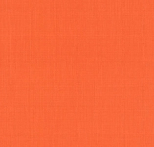 Rasch Barbara 527360 для кухни для спальни для гостиной для коридора для кабинета для загородного дома для комнаты для прихожей оранжевый