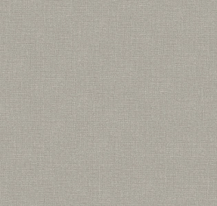 Aura Valentine 1729-5 для спальни для гостиной для кабинета для загородного дома для комнаты для прихожей темно-серый