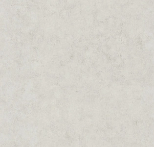 Caselio Beton 2 BTO101489050 для кухни для спальни для гостиной для коридора для кабинета для загородного дома для комнаты для прихожей серый светло-серый