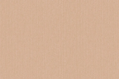 Z77515 Обои виниловые на флизелиновой основе