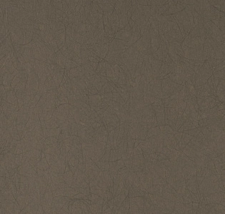 Bernardo Bartalucci Legend 5068-28 для спальни для гостиной для кабинета для загородного дома для комнаты для прихожей капучино