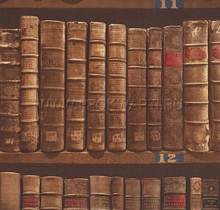 Paper Partnership University Of Oxford Archves I IWB00843 для кабинета для загородного дома для комнаты коричневый