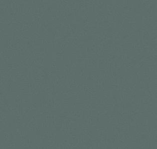 Aura Nordic Elegance 630217 для кухни для спальни для гостиной для коридора для кабинета для офиса для столовой для загородного дома для комнаты для прихожей серый темно-серый