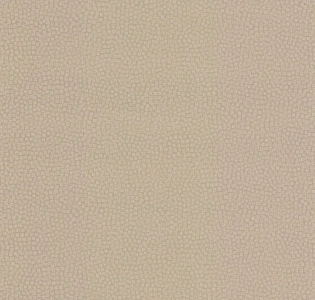 Fine Decor Evolve DL23039 для кухни для спальни для гостиной для загородного дома для комнаты песочный