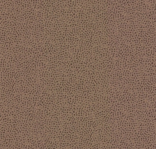 Fine Decor Evolve DL23041 для кухни для спальни для гостиной для загородного дома для комнаты коричневый