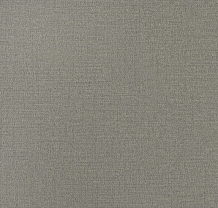 Andrea Rossi Spectrum Plus 54353-10 для кухни для спальни для гостиной для коридора для кабинета для загородного дома для комнаты для прихожей серый