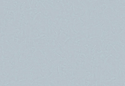 Обои виниловые на флизелиновой основе
