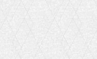 Обои виниловые на флизелиновой основе