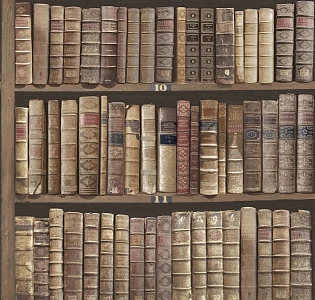 Paper Partnership University of Oxford Archives II IWB00843 для кабинета для загородного дома для комнаты коричневый