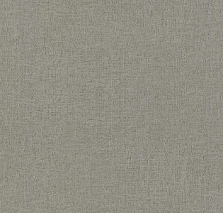 Decori&Decori Zen 72911 для кухни для спальни для гостиной для коридора для кабинета для загородного дома для комнаты для прихожей серый светло-серый