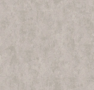 Bruno Zoff  Gold 60132-5 для кабинета для загородного дома для комнаты для прихожей серый светло-серый