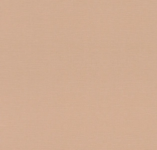 Rasch Allegretto 687576 для кухни для спальни для гостиной для коридора для кабинета для загородного дома для комнаты для прихожей бежевый персиковый