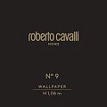 Roberto Cavalli 9