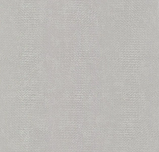 Fine Decor Evolve DL23034 для кухни для спальни для гостиной для загородного дома для комнаты светло-серый