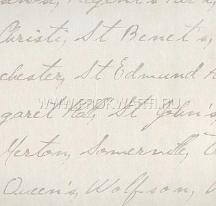 Paper Partnership University Of Oxford Archves I IWB00839 для кабинета для загородного дома для комнаты светло-серый