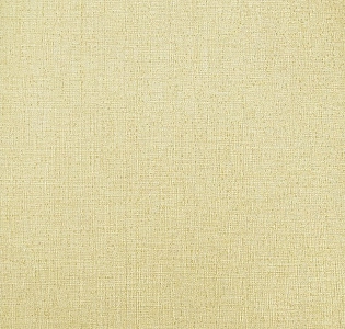 Erismann Jacklin 60112-07 для кухни для спальни для гостиной для коридора для кабинета для загородного дома для комнаты для прихожей золотой