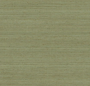 Jannelli&Volpi 602 Jaipur 6861 для кухни для спальни для гостиной для коридора для кабинета для загородного дома для комнаты для прихожей зеленый фисташковый
