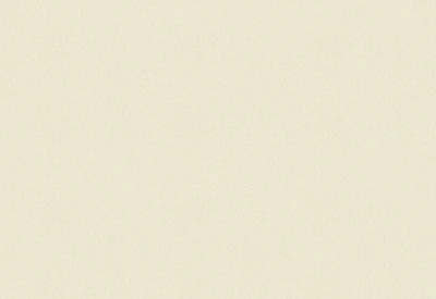 Обои виниловые на флизелиновой основе