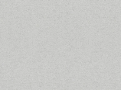 Обои виниловые на флизелиновой основе