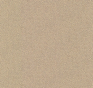 Fine Decor Evolve DL23040 для кухни для спальни для гостиной для загородного дома для комнаты песочный
