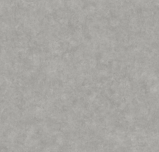 Caselio Beton 2 BTO101489243 для кухни для спальни для гостиной для коридора для кабинета для загородного дома для комнаты для прихожей серый светло-серый