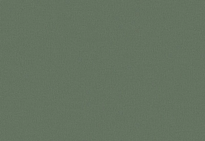 Обои флизелиновые