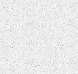 Wiganford Milenium 2 AK2717 для кухни для коридора для кабинета для загородного дома для комнаты для прихожей белый светло-серый