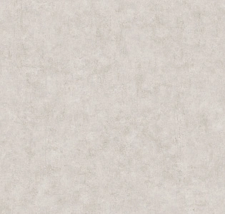Caselio Beton 2 BTO101481693 для кухни для спальни для гостиной для коридора для кабинета для загородного дома для комнаты для прихожей серый светло-серый