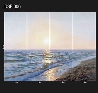 Loymina Иллюзия (Illusion vol.1) DSE 006