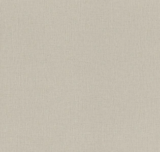 Rasch Almanach 975505 для кухни для спальни для гостиной для коридора для кабинета для загородного дома для комнаты для прихожей серый светло-серый