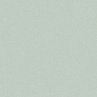Обои виниловые на флизелиновой основе