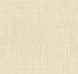 Rasch Barbara 527247 для кухни для спальни для гостиной для коридора для кабинета для загородного дома для комнаты для прихожей золотой