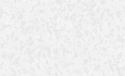 Обои виниловые на флизелиновой основе
