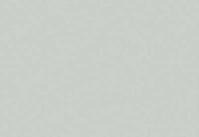 Обои виниловые на флизелиновой основе