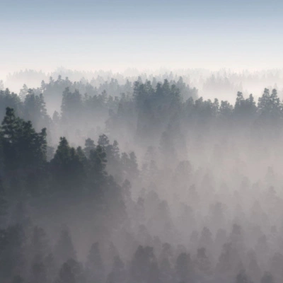 Фреска на штукатурке ECO
