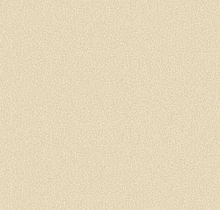 Aura Texture World H2990501 для кухни для спальни для гостиной для коридора для кабинета для загородного дома для комнаты для прихожей бежевый