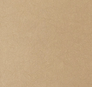 Bernardo Bartalucci Legend 5068-82 для спальни для гостиной для кабинета для загородного дома для комнаты для прихожей бежевый