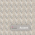 Accent