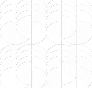 Decoprint Elisir EL21050 для кабинета для комнаты для прихожей белый темно-серый