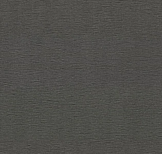 Артекс Dieter Langer Fusion 10442-05 для кухни для спальни для гостиной для коридора для кабинета для загородного дома для комнаты для прихожей светло-серый темно-серый