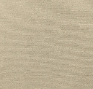 Andrea Rossi Berggi 54452-4 для кухни для спальни для гостиной для коридора для кабинета для загородного дома для комнаты для прихожей бежевый