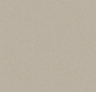 Aura Nordic Elegance 630423 для кухни для спальни для гостиной для коридора для кабинета для офиса для столовой для загородного дома для комнаты для прихожей бежевый