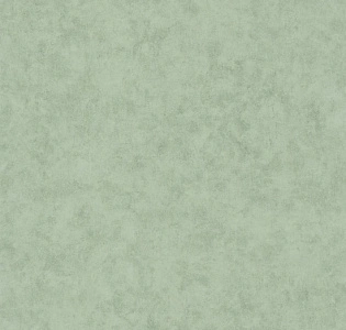 Caselio Beton 2 BTO101487332 для кухни для спальни для гостиной для коридора для кабинета для загородного дома для комнаты для прихожей мятный