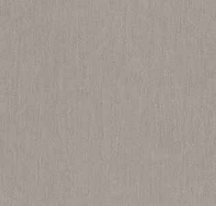 Zambaiti Parati Vision Z76019 для кухни для спальни для гостиной для коридора для кабинета для загородного дома для комнаты для прихожей серый светло-серый песочный